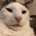 simonandthebigwideworld avatar