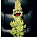 simonisprobablyfaded avatar