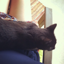 simonsayscanyounot avatar