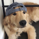 simonsayspanic avatar