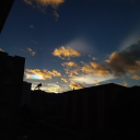 simosimsworld avatar