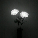 simp-lyanimewritings avatar