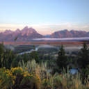 simple-everything avatar