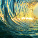 simple-life-xx avatar