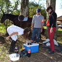 simpleblinkday avatar