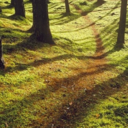 simpleexistence-blog avatar