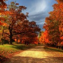 simplefelicity avatar