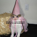 simplestrevenge avatar