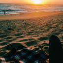 simplicity-yy avatar