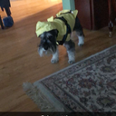 simplicitys-bliss avatar