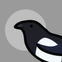 simplified-birds avatar