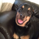 simply-beautifful avatar