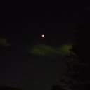 simply-fandomtrash avatar