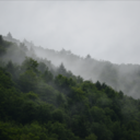 simply-georgeous avatar