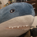 simply-resharkable avatar