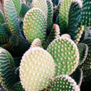 simply-sublimee avatar