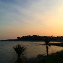 simplybloggingtime avatar