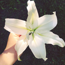 simplyhopeful207 avatar