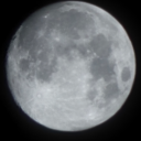 simplylemonboii avatar