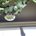 simplymexoxox avatar