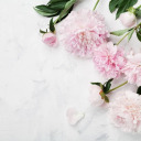 simplysongful avatar