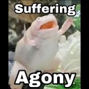 simplytired-ogical avatar