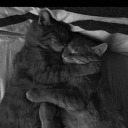 simsiyahgokyuzum avatar