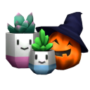 simsucculent avatar