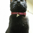 sin-matsunaga avatar