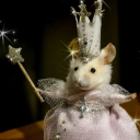 sin-nombre-no-name avatar