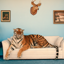 sinandsuits-blog avatar