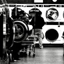 sincerely-coyote avatar