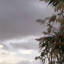 sincerely-noura avatar