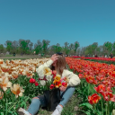 sincerely-rare-bird avatar