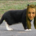 sincerelythenerds avatar