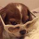 sincerelyyoursthings avatar