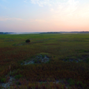 sinful-colours avatar