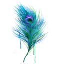 sinful-sorrow avatar