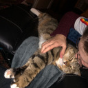 sinfullyboring avatar