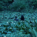 sinfulsickness avatar