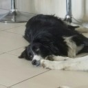 sing-me-silence avatar