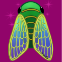 singing-cicada avatar