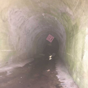 singingcolours avatar