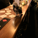 singingdetective avatar