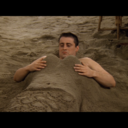 singingsycamore avatar