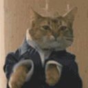 single-point-of-failure avatar