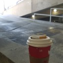 singlecellparamecium avatar