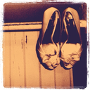 singlegirlgoes avatar