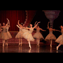 singstheeggsong avatar