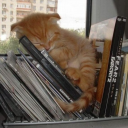 singular-i-tea avatar